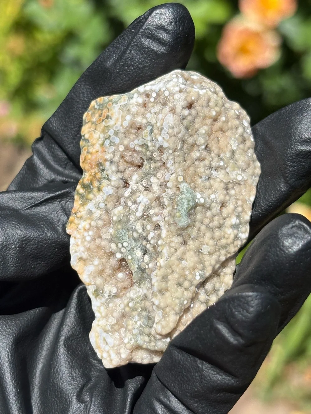 Ocean Jasper Druzy Crystal Slab - Orbicular Jasper - Polished Sea Jasper